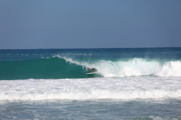 palm beach surf
